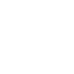 L1